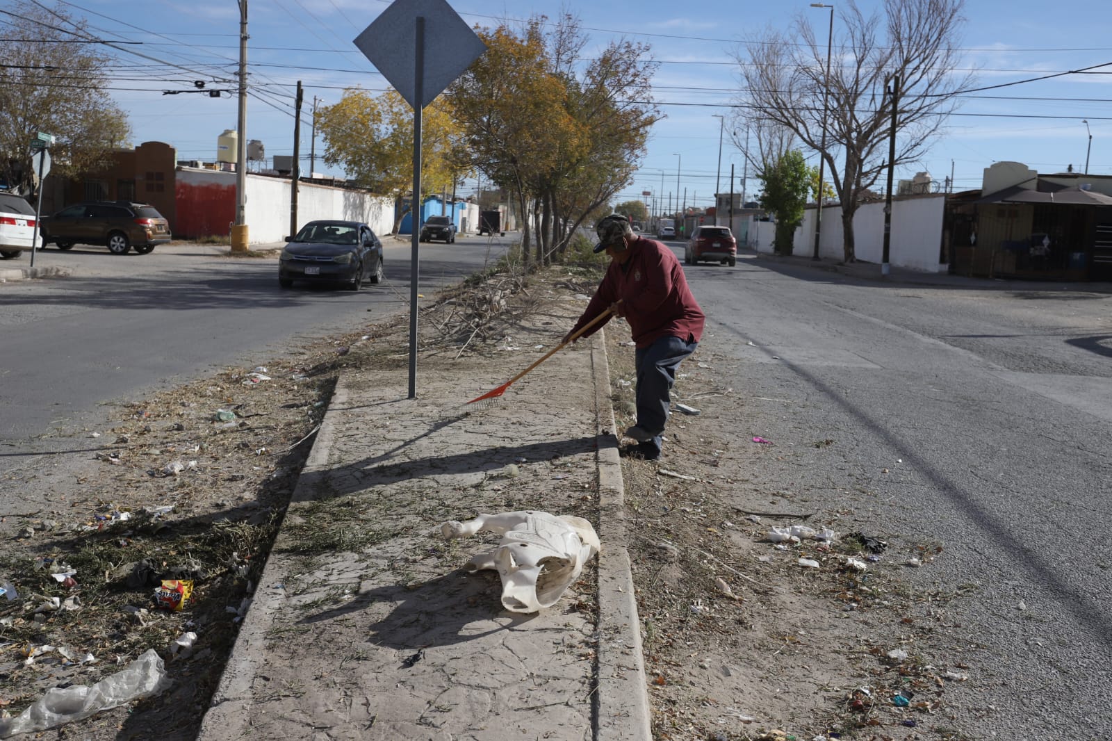 Parques y Jardines renueva áreas verdes en Rincones de Salvárcar