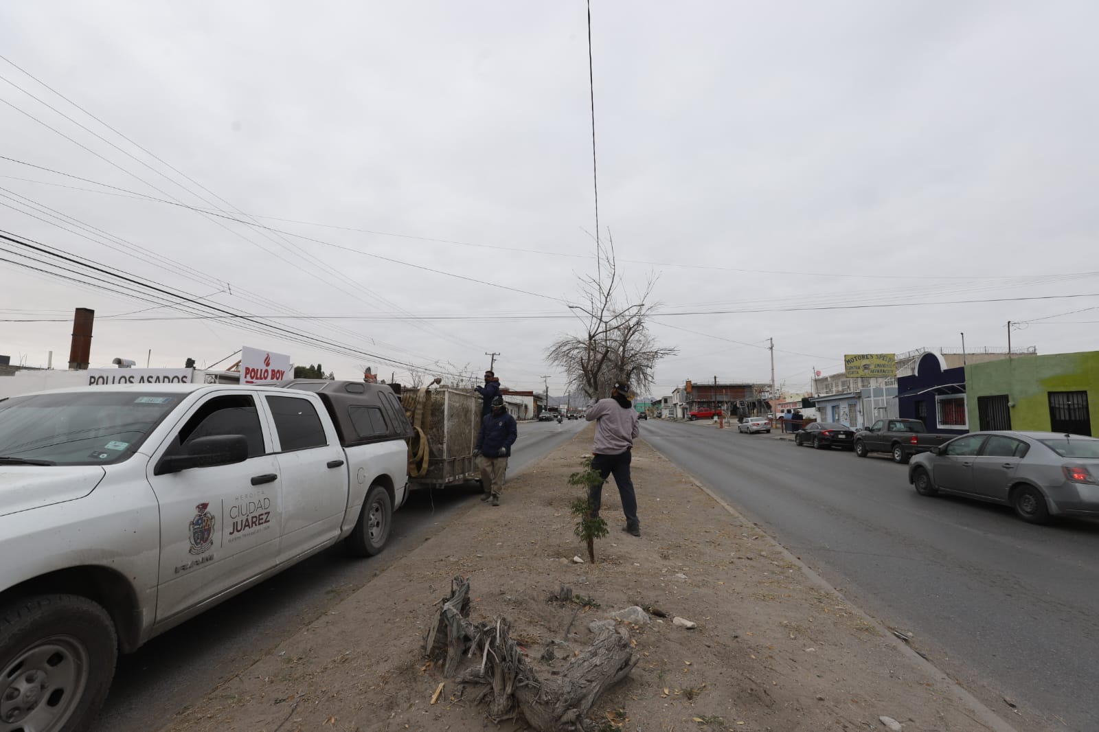 Mantenimiento urbano mejora la imagen de la calle Montes Urales